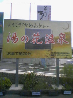 ���̉ԉ���Ŕ�