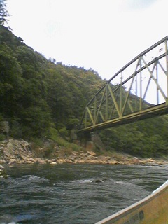 �D���猩���g���b�R�S��