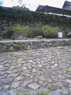 �������񂪂������D��