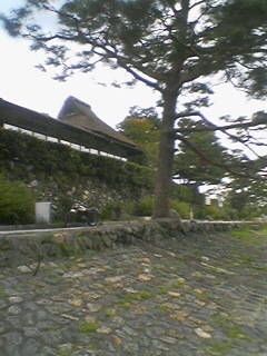 �������񂪂������D��2