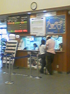 ����w�`�P�b�g�����