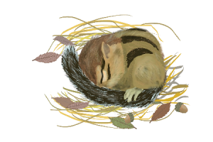 冬眠中のお知らせ